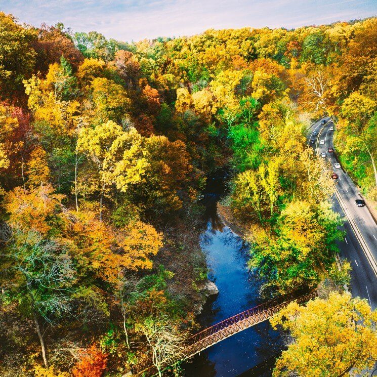 A narrow river and road winding through a yellow, green and orange colored forest